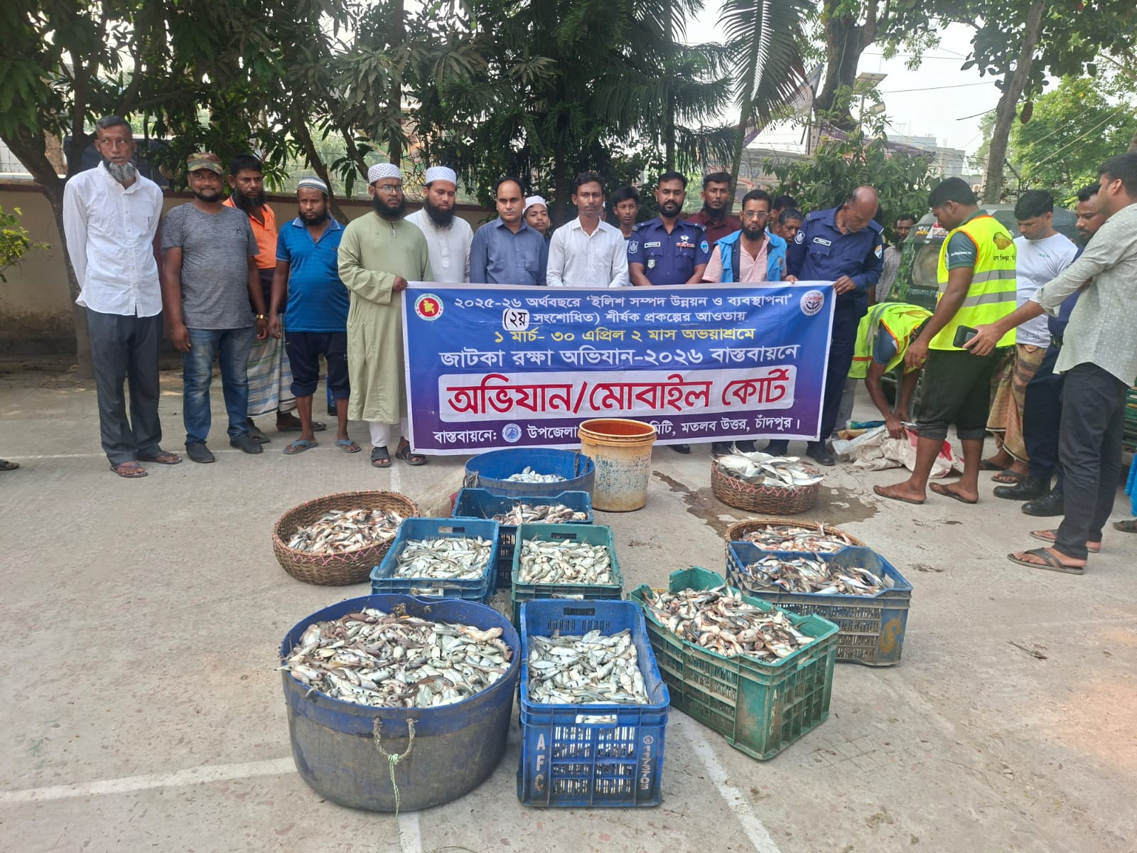 মতলব উত্তরে বিভিন্ন আড়ং ও বাজারে অভিযানে ৮০০ কেজি জাটকা ও পাঙ্গাসের পোনা মাছ জব্ধ