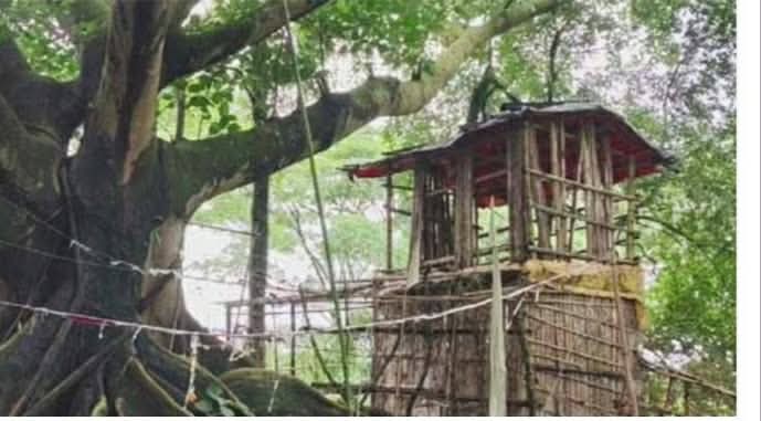 দোয়ারাবাজারে জঙ্গলে বটবৃক্ষের নিচে ‘আস্তানা’ ঘিরে এলাকায় আতঙ্ক